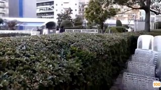 欧美成人视频大全视频大全- 高清在线观看